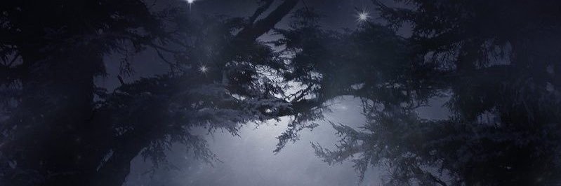 Vampqueen3333's profile banner image