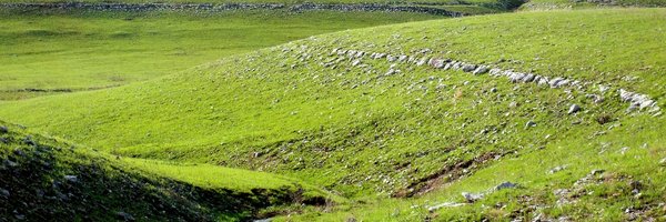 jweirdo Profile Banner