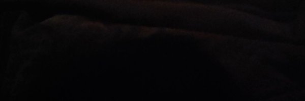 sandravets Profile Banner