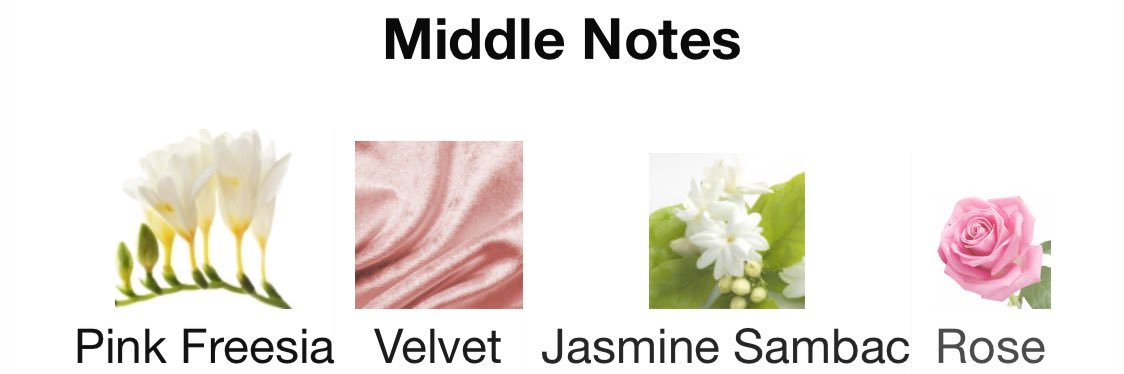 fiona gallagher banner