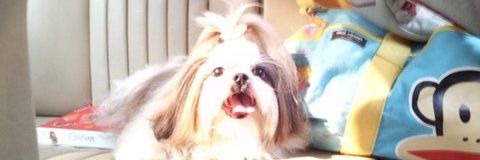 tobbii's profile banner image
