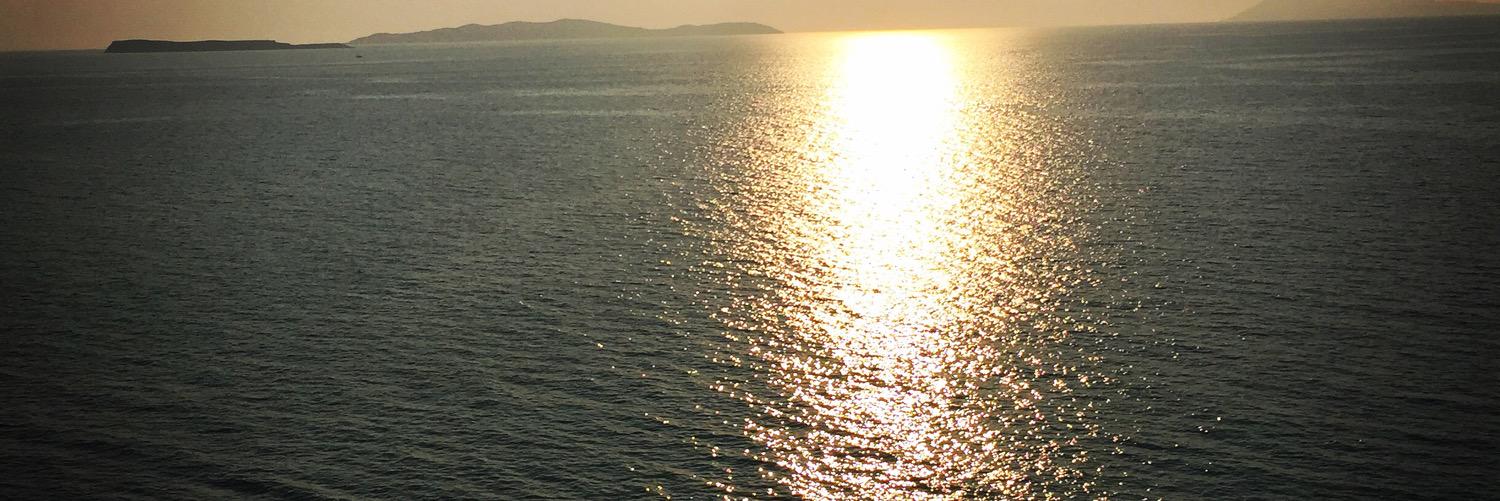 Perrellina's profile banner image