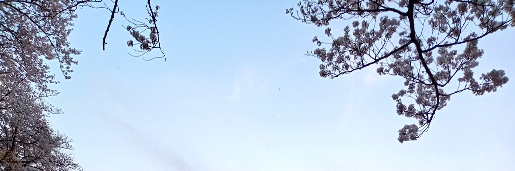 ∠さゆり@月ノ山 B&C 翔 love up! banner