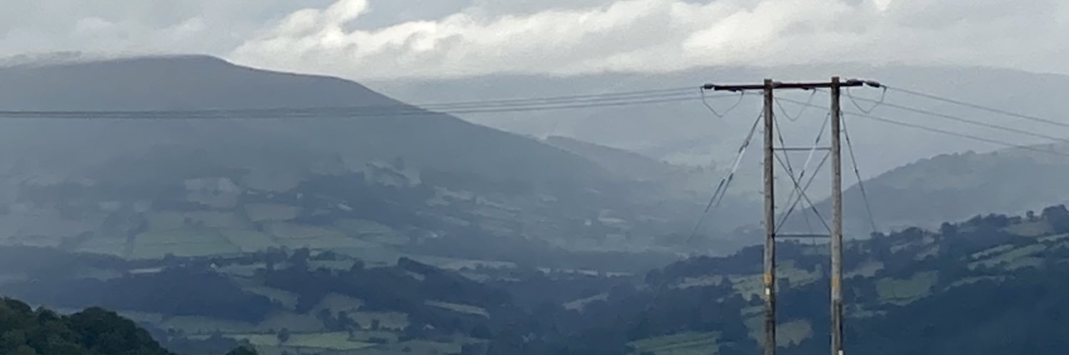LittleBirdWales's profile banner image