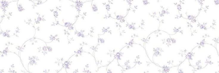 † dolly 𓉸 banner