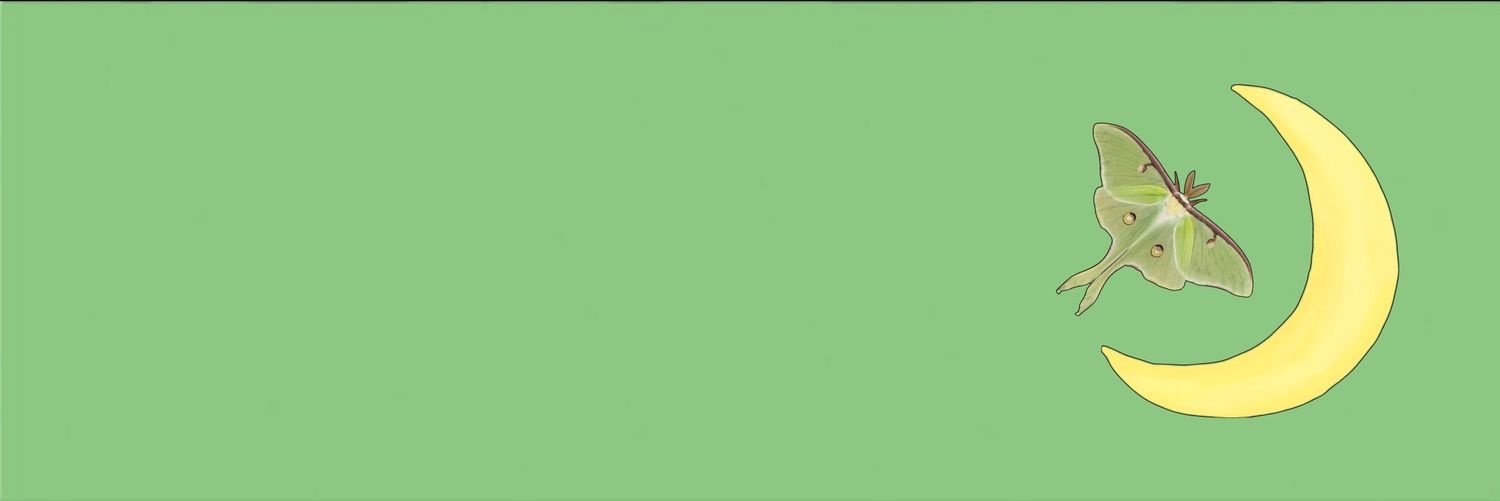 LunaMothStudios banner