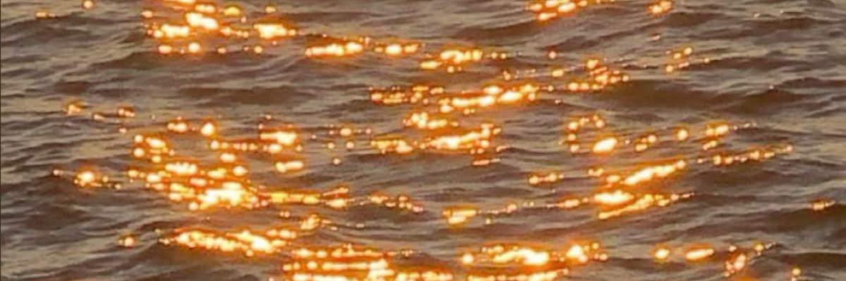 bertbeya's profile banner image