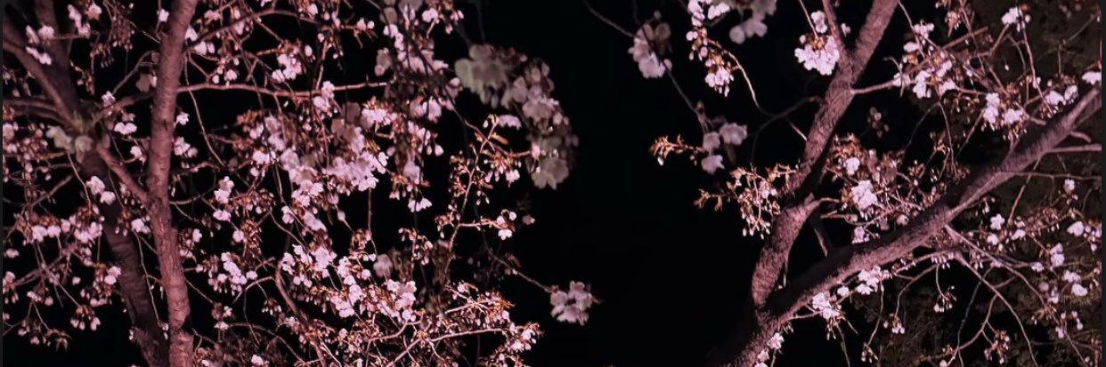 raysyee banner