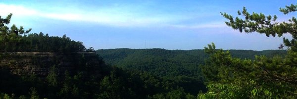 nickylew42 Profile Banner