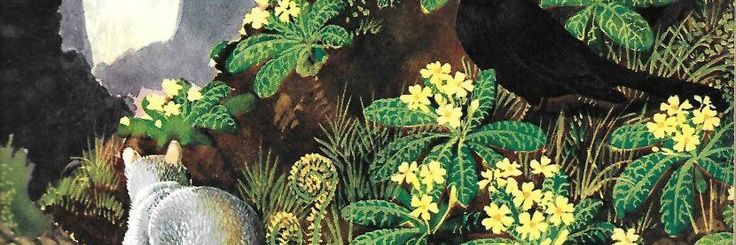MapofBones's profile banner image
