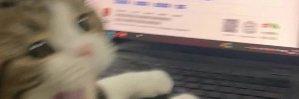 Angelicalynn133's profile banner image