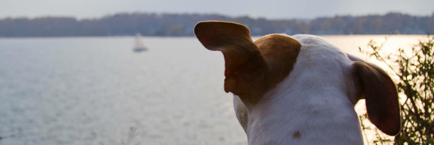 nevabnormal's profile banner image