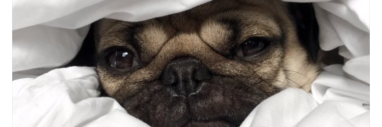 BAKyle's profile banner image