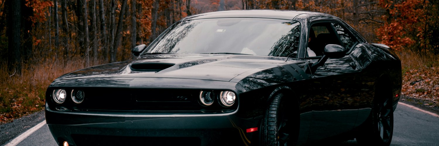 LtMhd1945's profile banner image