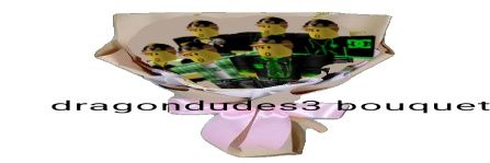 daily dragondudes3 banner