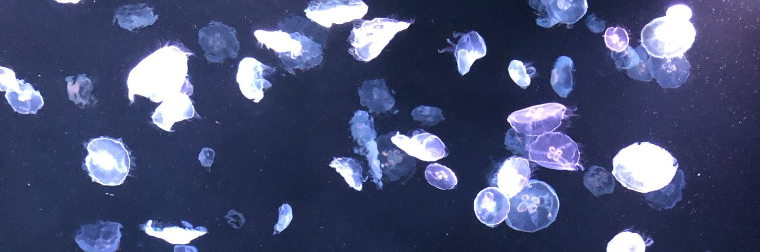 村田えのぐ@創作垢 banner