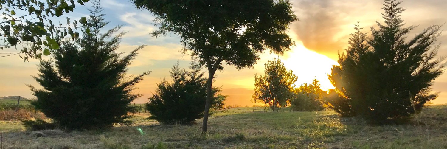 DPiscicelli's profile banner image