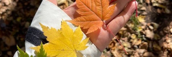 wivsesa Profile Banner