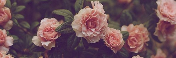xJenxFx Profile Banner