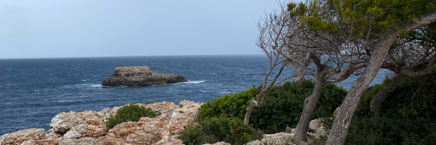 Daniel Holstein banner