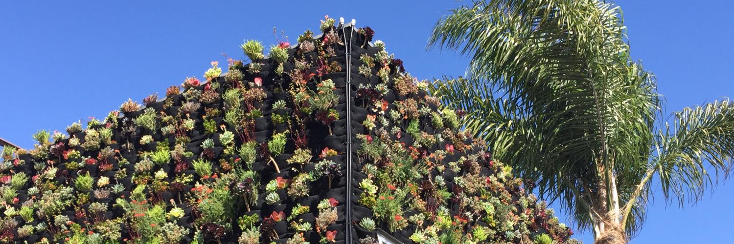 Cicek Bricault (pronounced Chee-check Bree-co) banner