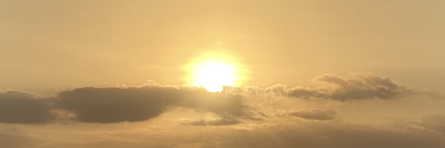 ntuzzahrah's profile banner image