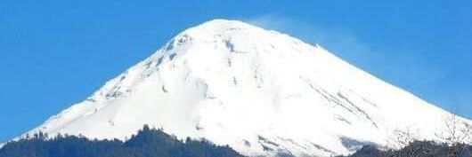 SILVESTRE PEREZ banner