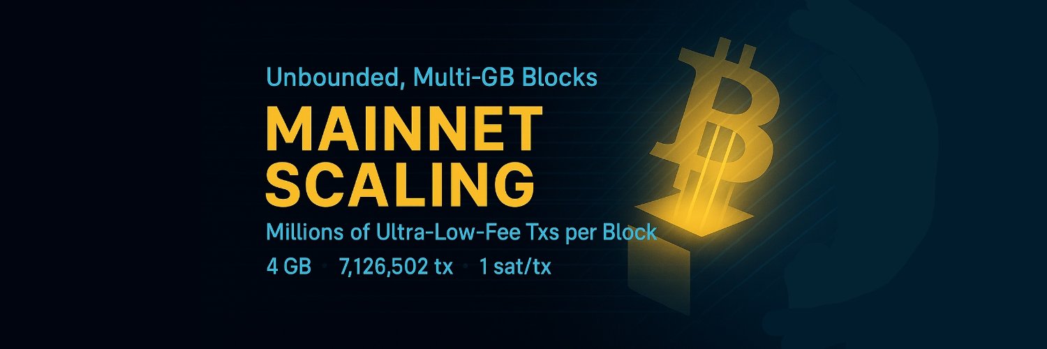 BitcoinSvGuide banner