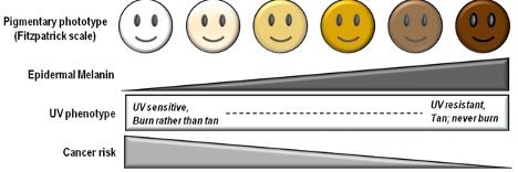 Franklin D. Coon(not that Franklin) banner