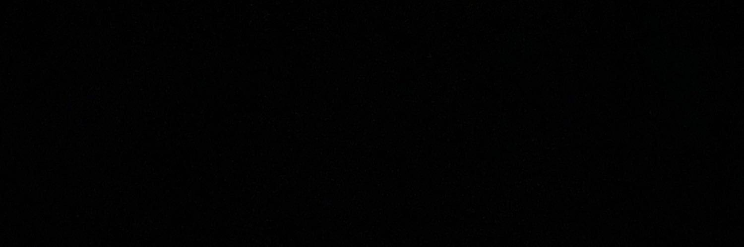 silent scream banner