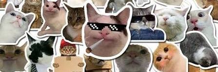 Zerome🌹 banner