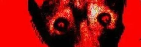 Doggy banner