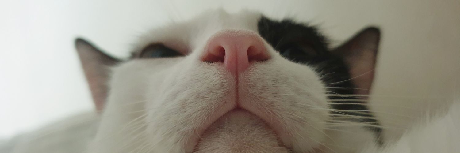 ddmendozaaa's profile banner image