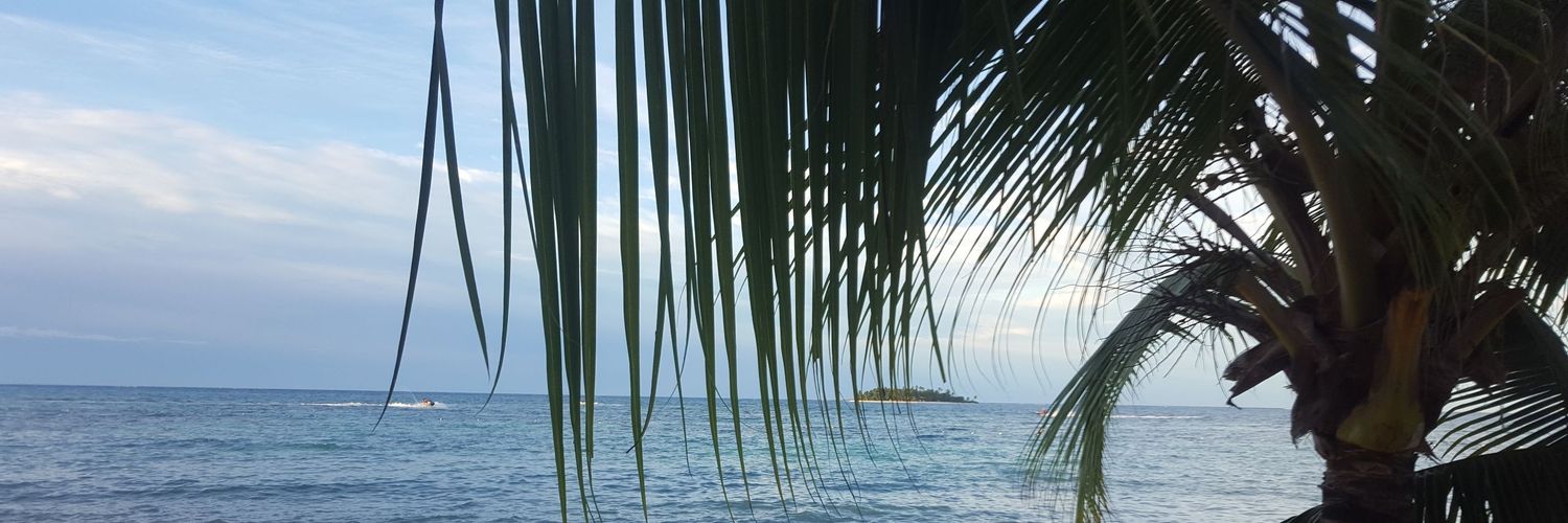 BeatrizBenitezP's profile banner image