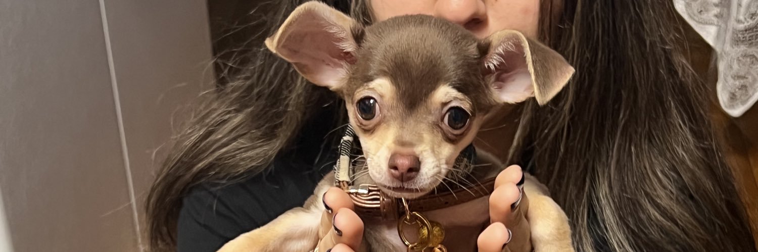 chief warrior banner