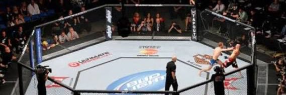 Sidelines - MMA banner