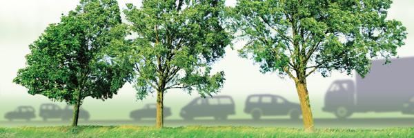 centraleas Profile Banner