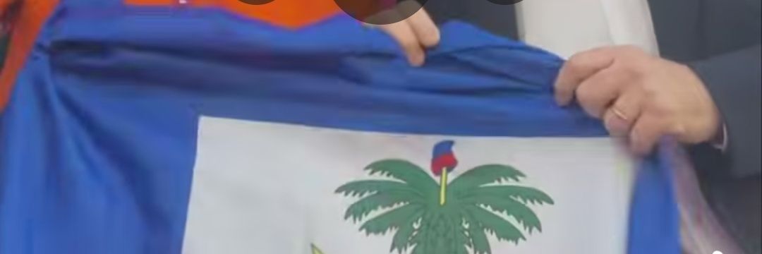 lessage jn steevens banner