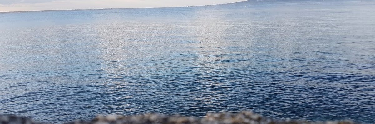 sonyagoulding's profile banner image