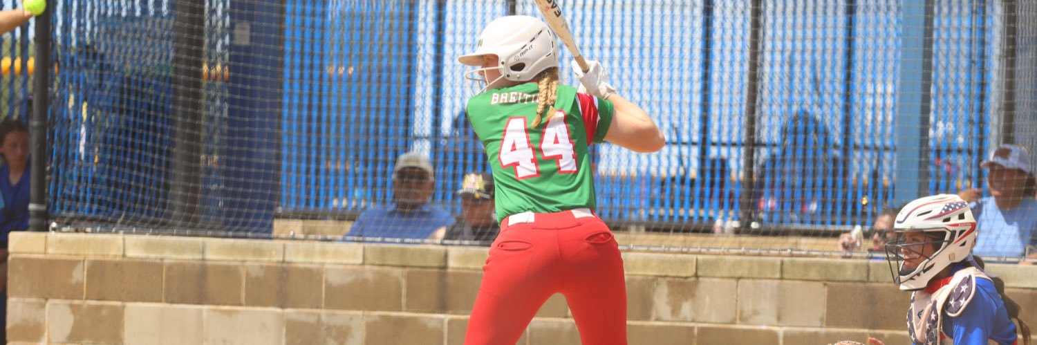 Ashlynn Breitinger banner