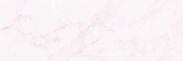 53pand_02's profile banner image