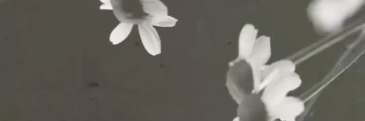 ghxtq1_'s profile banner image