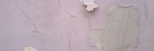 dolly ୨♡୧ banner