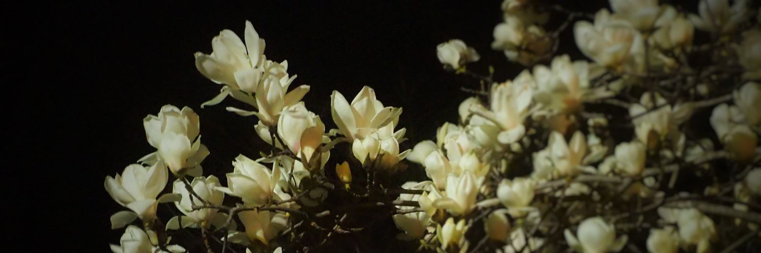 k_o_m_'s profile banner image