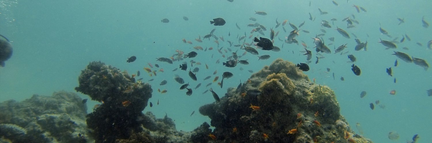 Dr. Danny Sadler banner