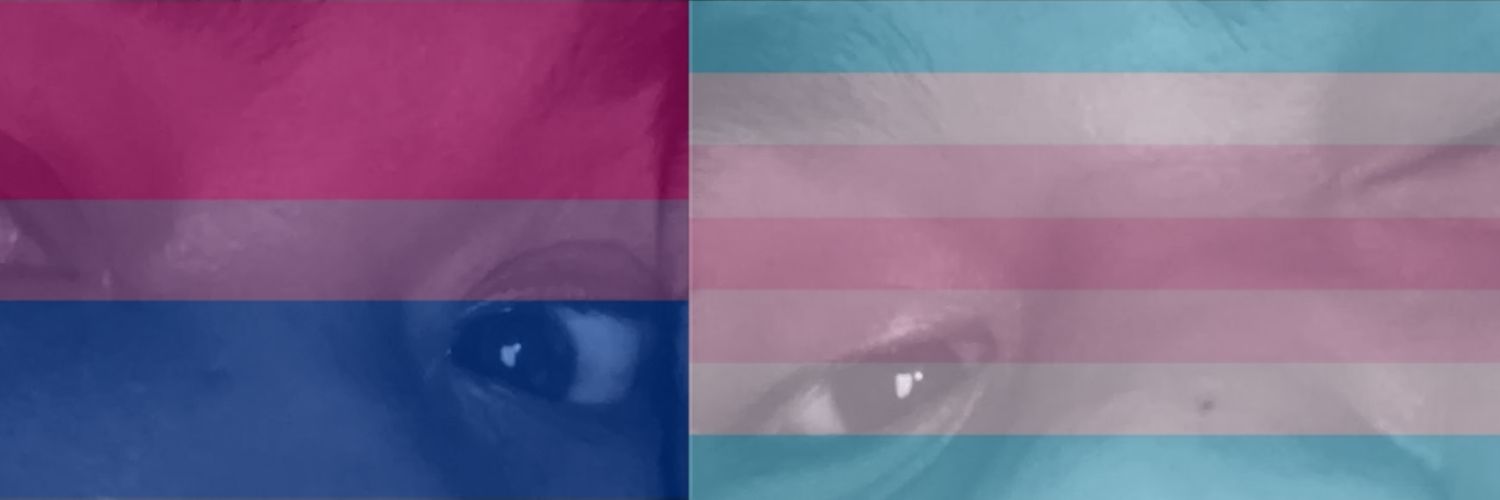 𝒒𝒚𝒂 ✨ banner