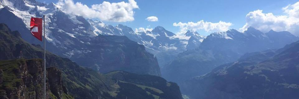 annstapinski's profile banner image