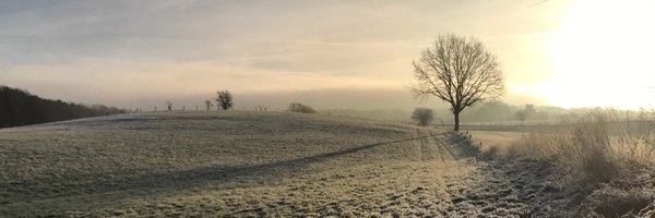 dondude Profile Banner