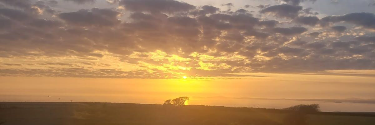 Cowslip's Crisis Fatigue! banner