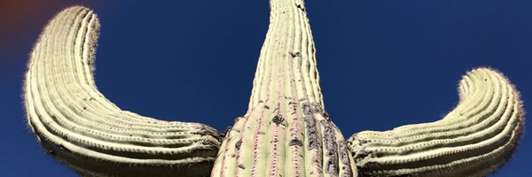 J_eeVes Profile Banner